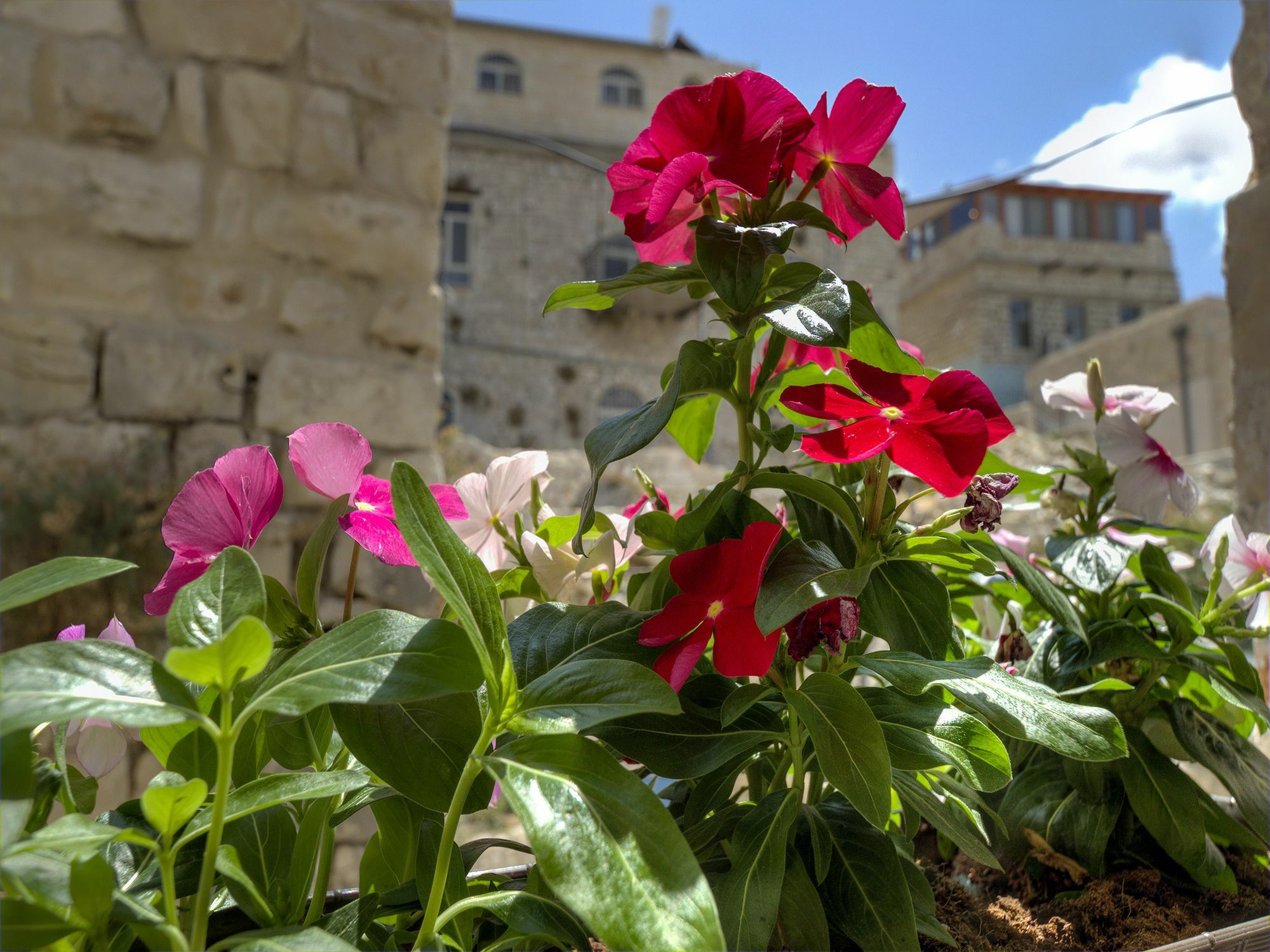 Nofesh Baatika Vila Safed Exterior foto