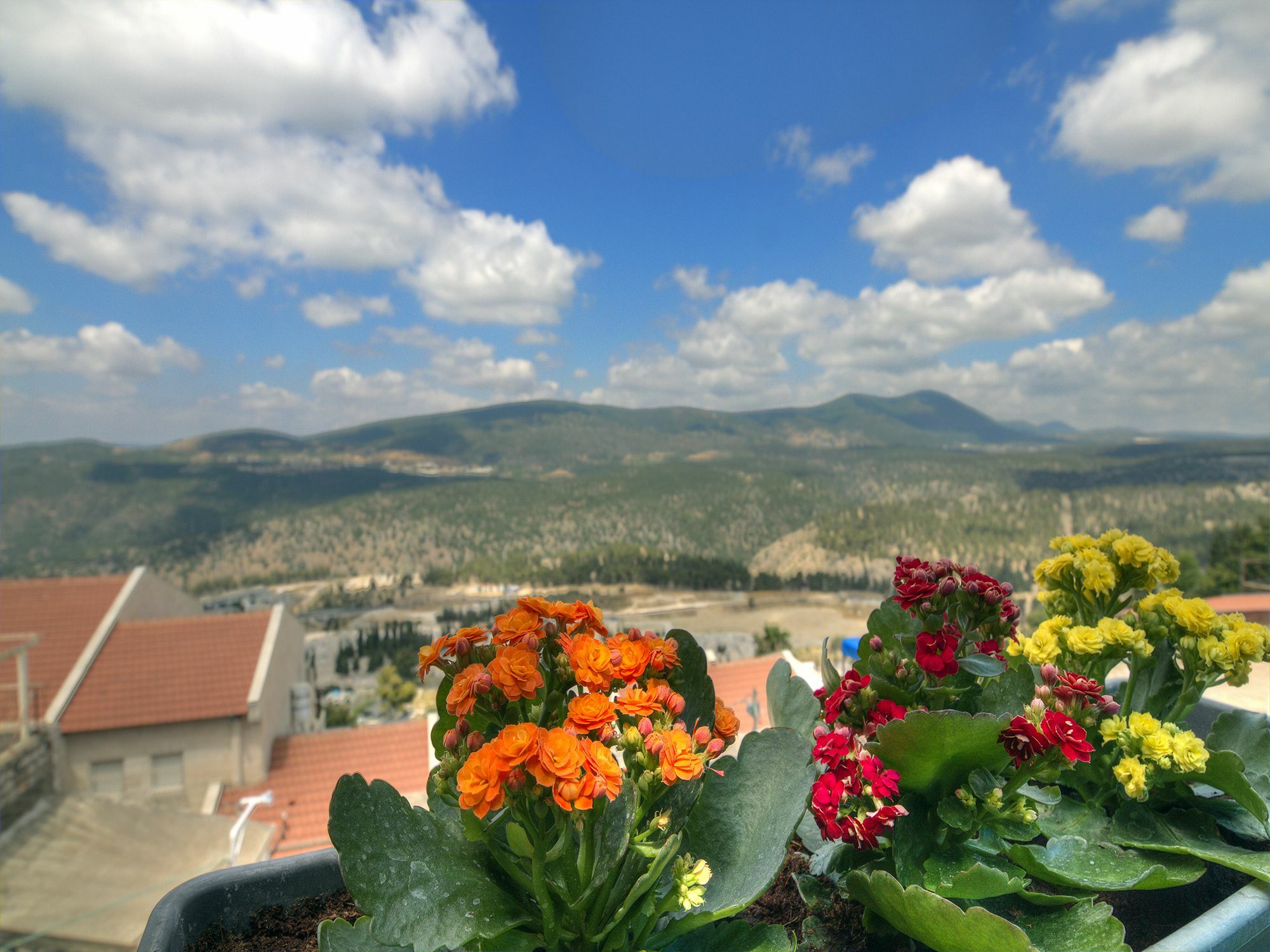 Nofesh Baatika Vila Safed Exterior foto